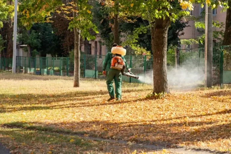 How to Manage Pest Control Near Outdoor Cooking Areas: Definitive Guide